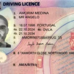 dvla share code UK Driving Licence,dvla share code