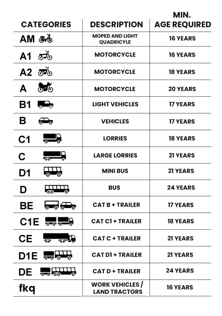 Drivers Licenses Symbols Vector 11zon 722x1024